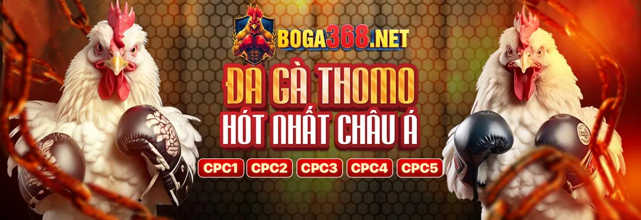 Thành viên VIP 3wins tận hưởng đặc quyền và ưu đãi